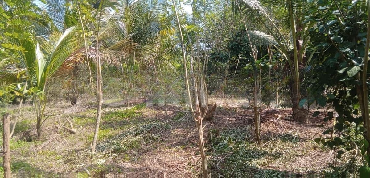 Galle : 50 Perches Land for Sale in Ahangama