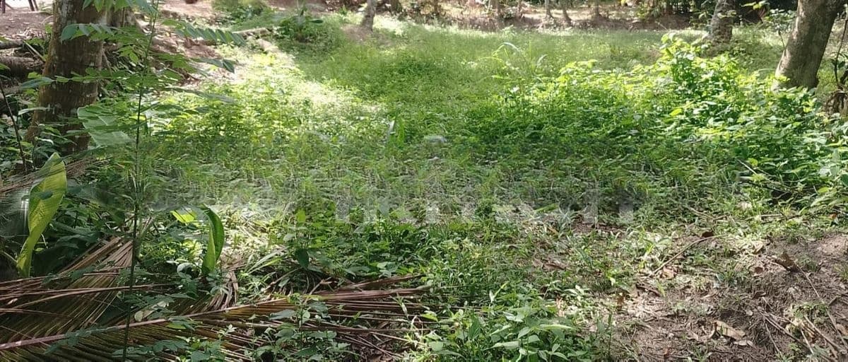 Valuable Land for Sale in Wattala