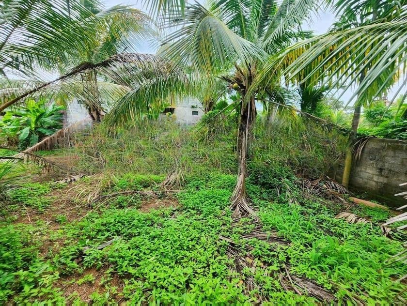 Land for Sale in Bopitiya - St 14657