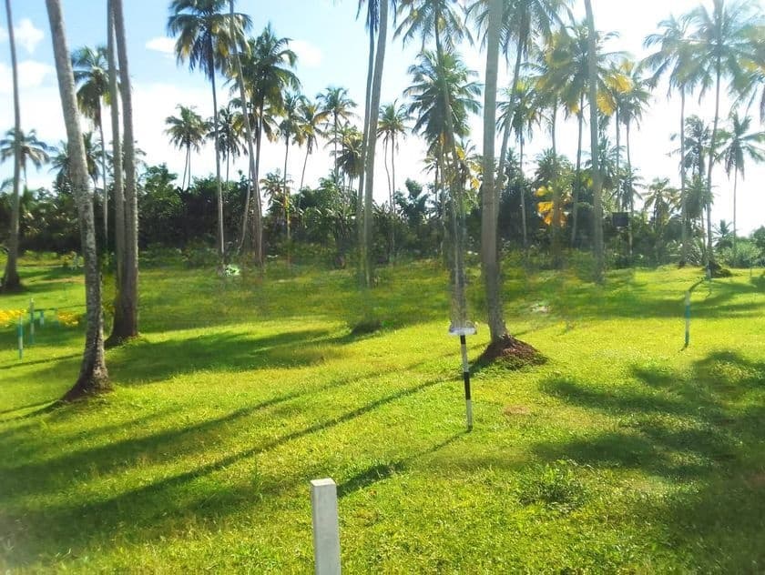 Residential Land for Sale in Polgahawela D01