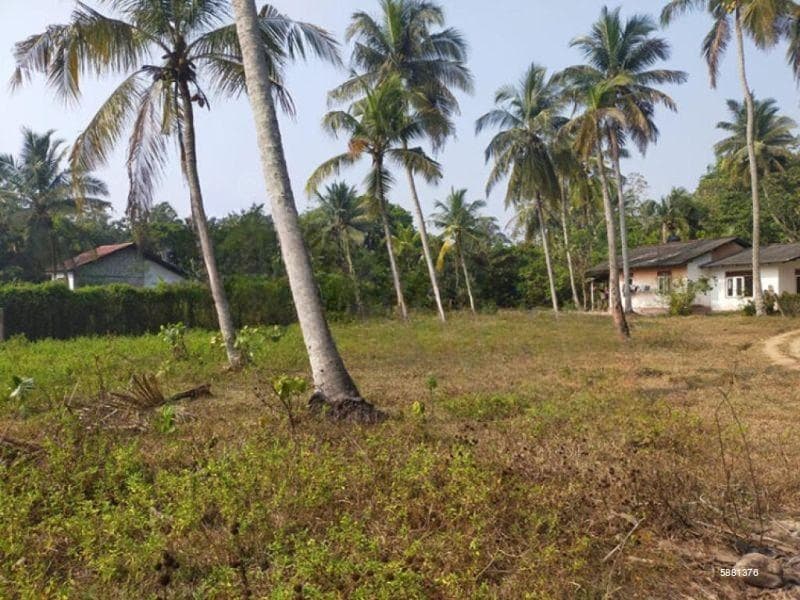 Valuable Land for Sale in Katunayake, Negombo.