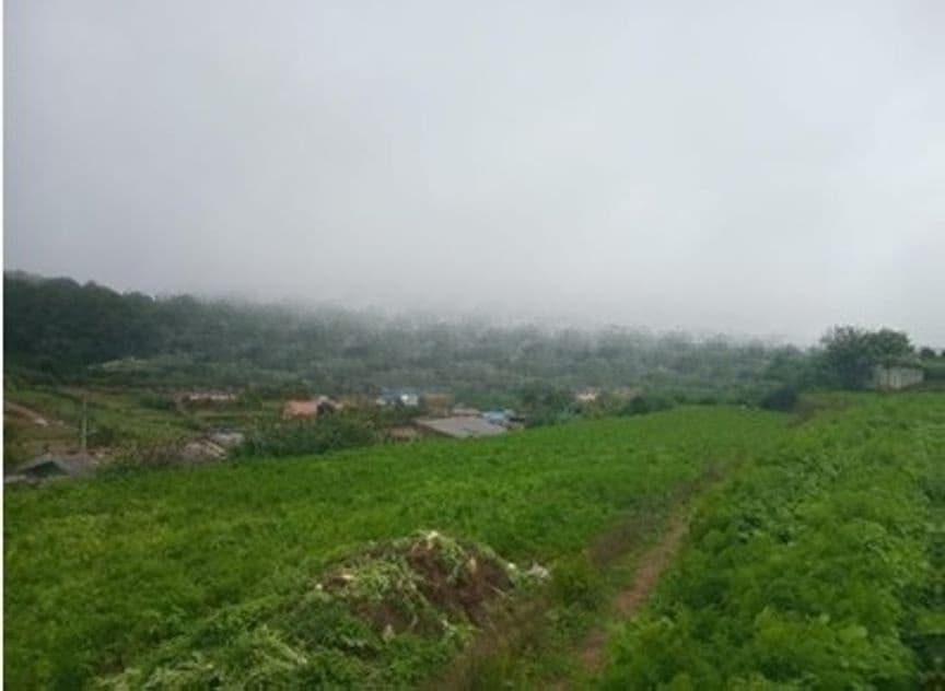 Land For Sale in Nuwara Eliya