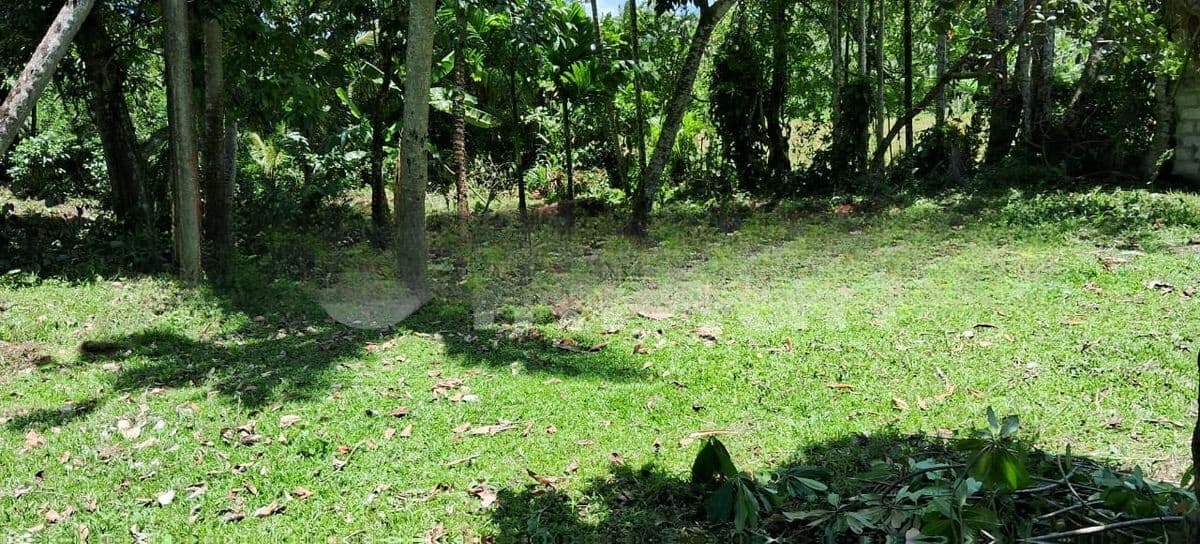 Land For Sale In Ahangama