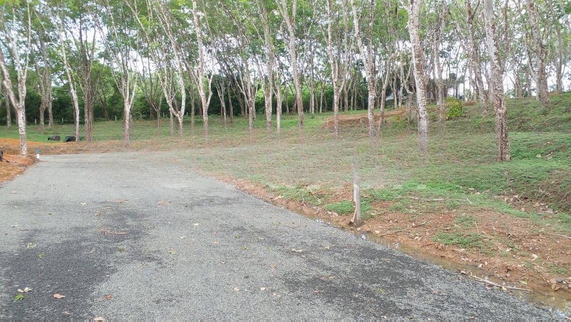අහංගමින් හරිතවත් ඉඩම්