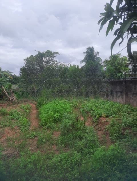 Land For Sale In Boralesgamuwa Aberathna Mawatha