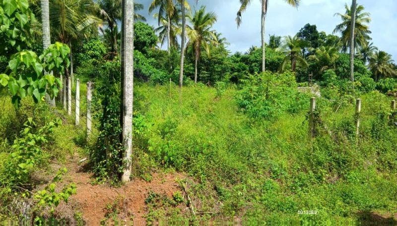 15 Perches Land for Sale in Pannala (SSPL-446)