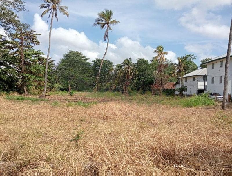 1.25 acres bare land for sale in Kelaniya - 35 lakhs Per Perch ( Negotiable )