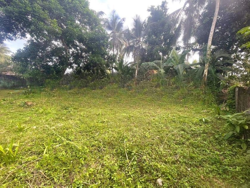 හෝමාගමෙන් සුපිරි ඉඩමක්