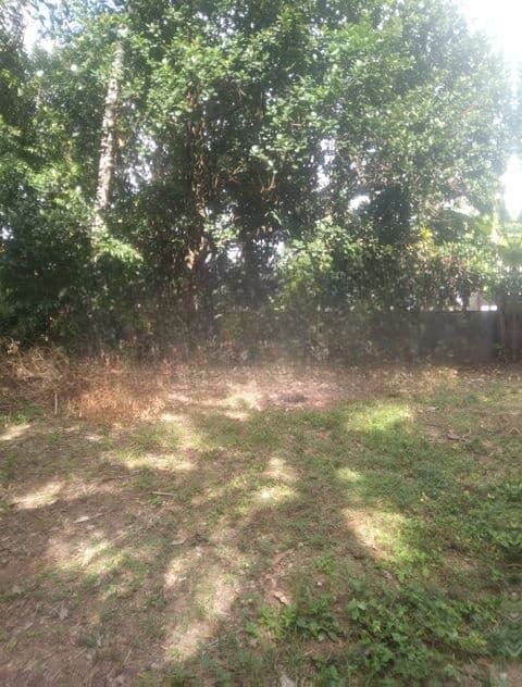 Land For Sale In Boralesgamuwa
