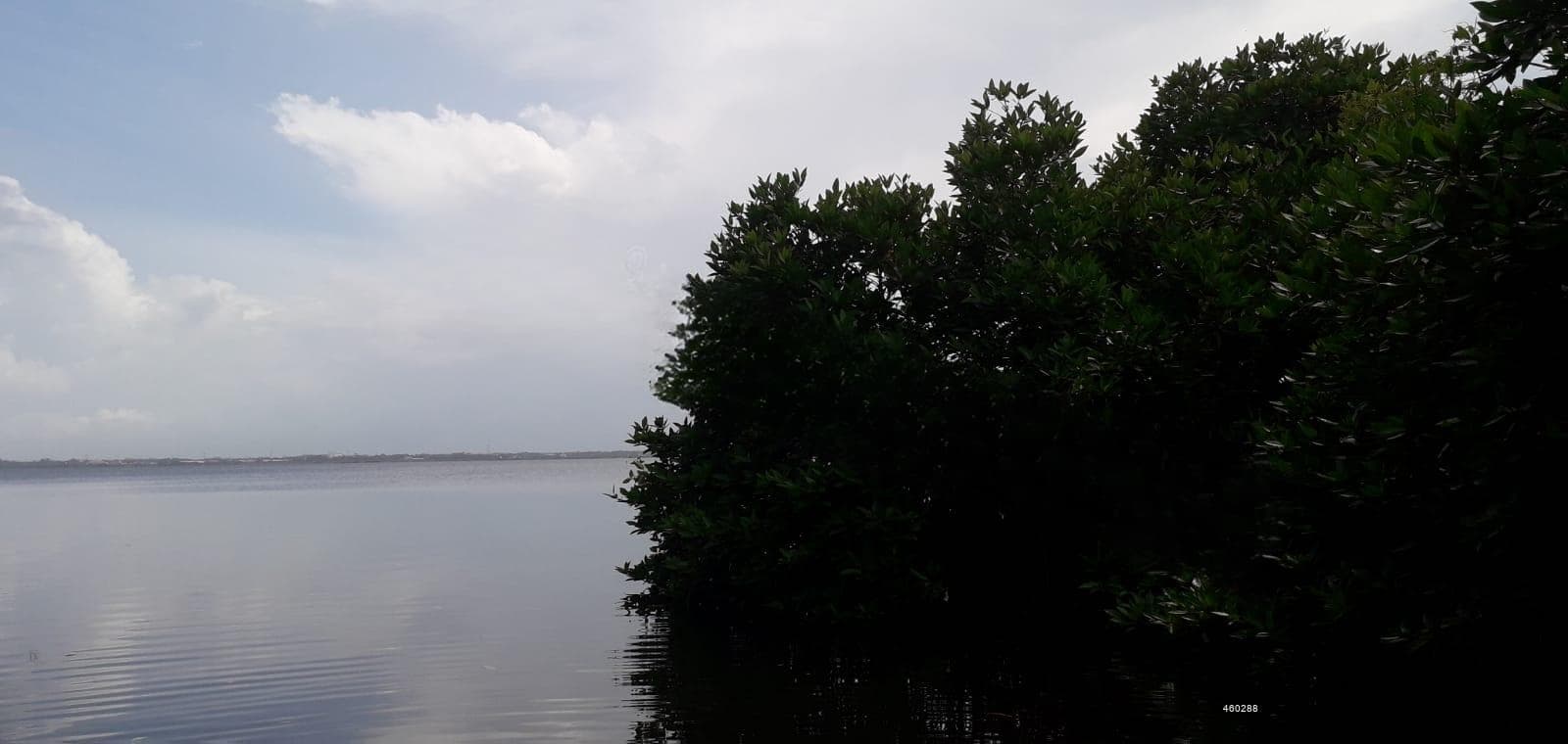 Lagoon front land for sale in Negombo suburbs- code water negambo 3
