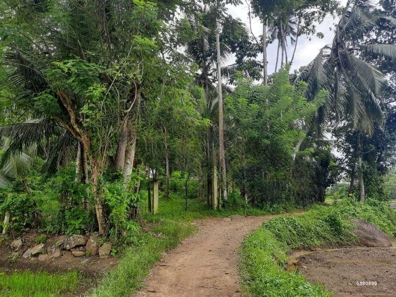 Land for Sale - Galle | LKR 110,000,000