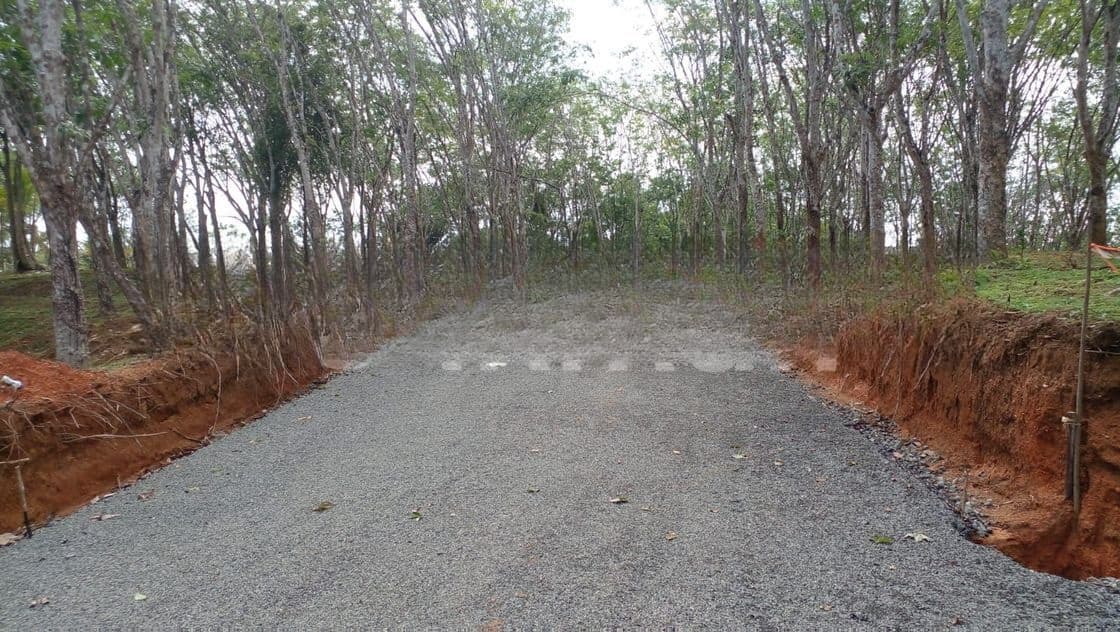 අහංගම අගනා ඉඩම්