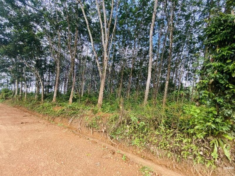 5 Acres Rubber Land At Kiriwattuduwa Close To Tech City, Homagama