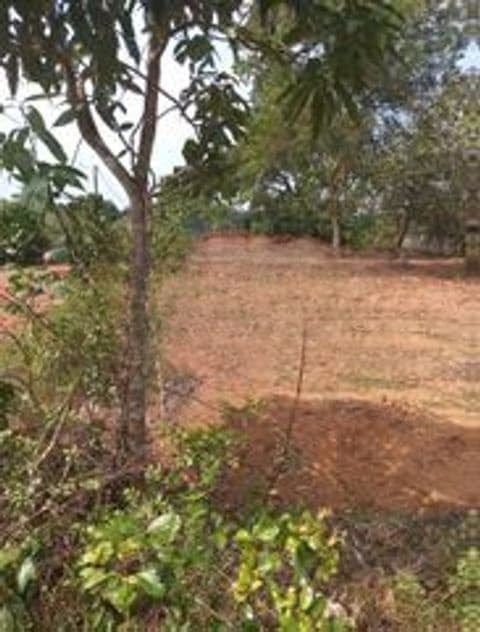 හබරකඩ සීලාලංකාර මාවතට මායිම්ව පිහිටි අගනා ඉඩමක් විකිණීමට