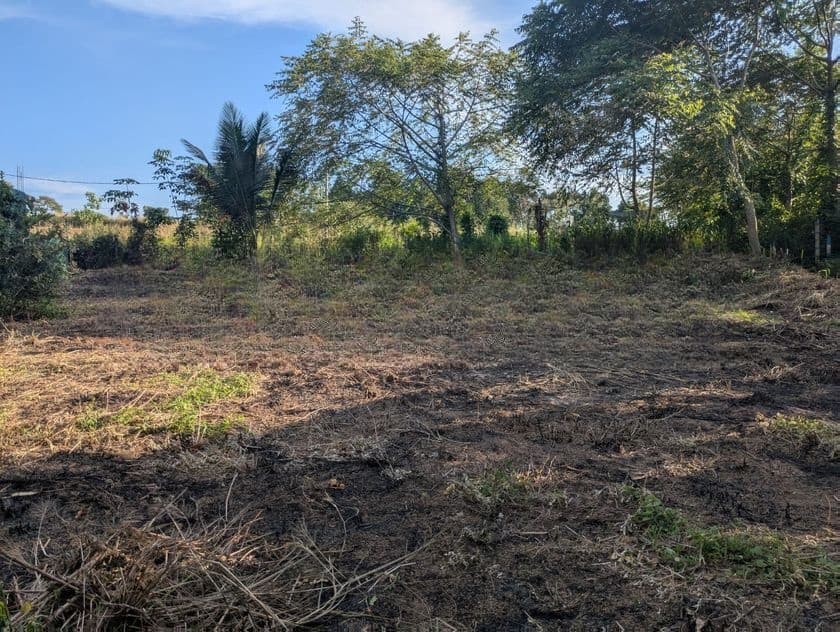 Land for Sale in Piliyandala