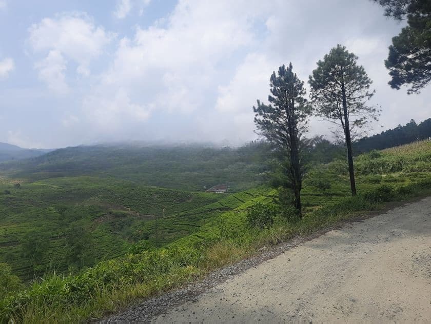 Land for Sale Pussellawa