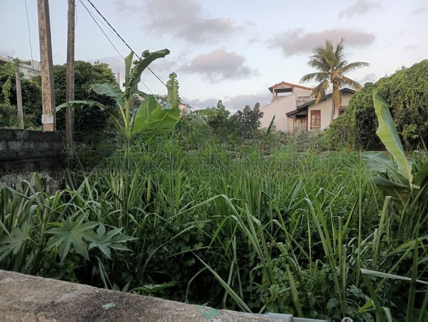 Land for Sale - Temples Road, Mountlavinia