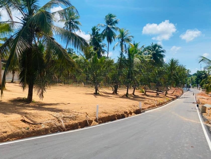 කදාන , රිලවුල්ල දොලහේන පාරෙන් බිම් කොටස්