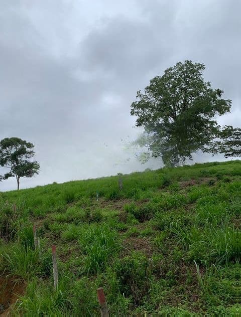 Land for Sale in Pussellawa