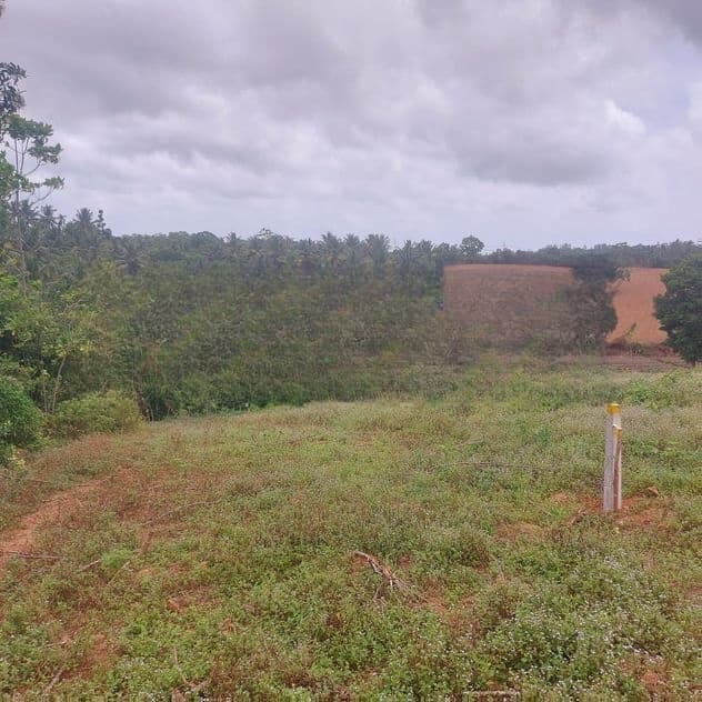 කහතුඩුව, වෙනිවැල්කොළ පිහිටි ඉඩමක් විකිණීමට ඇත. (ID: WNWL001S)