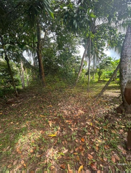 Land For Sale In Talpe Inland -code Add 964