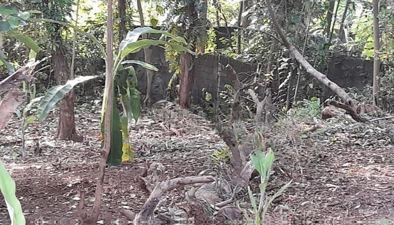 20.9 perches bare land for sale in Maharagama