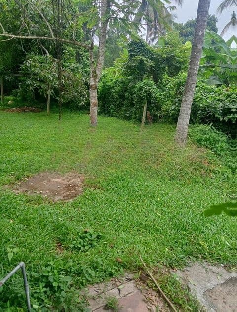 Land for Sale .16.5 Parch Ganemulla