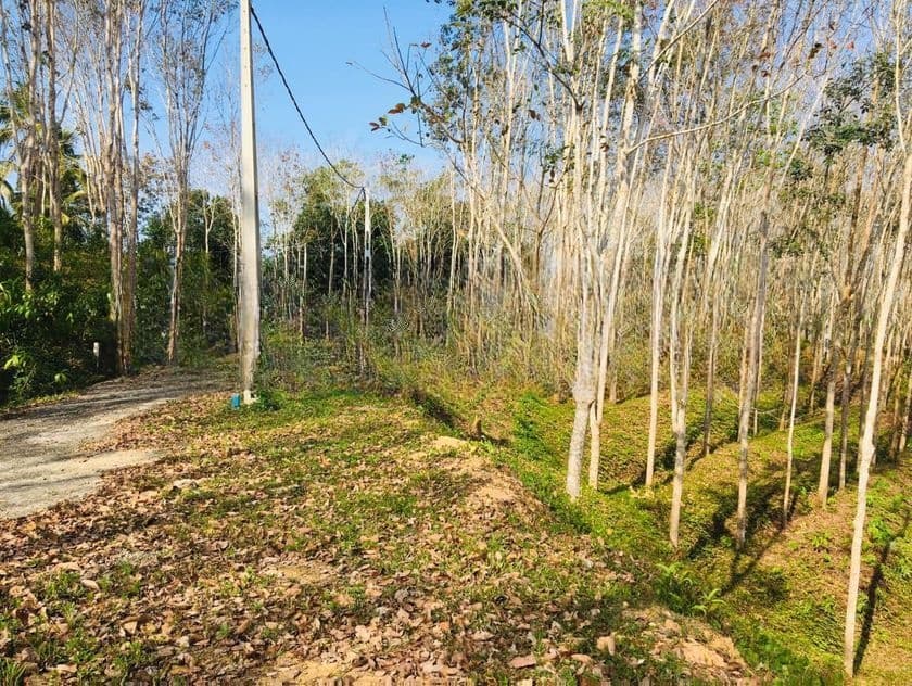 Land Plots in Habaraduwa Tourism Area