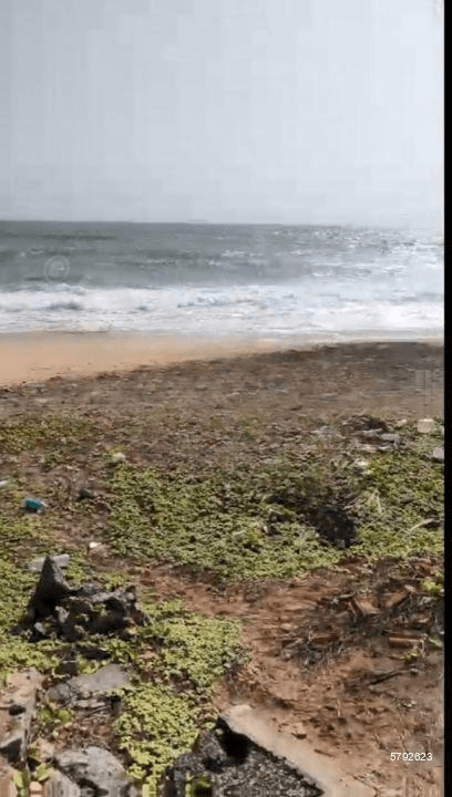 On The Beach Land For Sale In Negambo Suburbs (dungalpitiya)-code Add 748