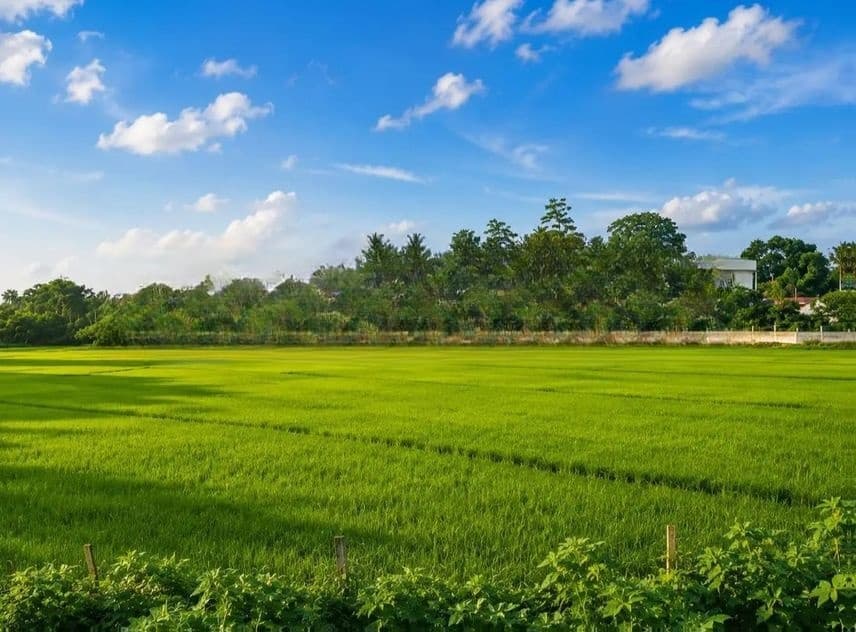 කොළඹින් පර්චස් 06ක සුපිරි ඉඩමක්