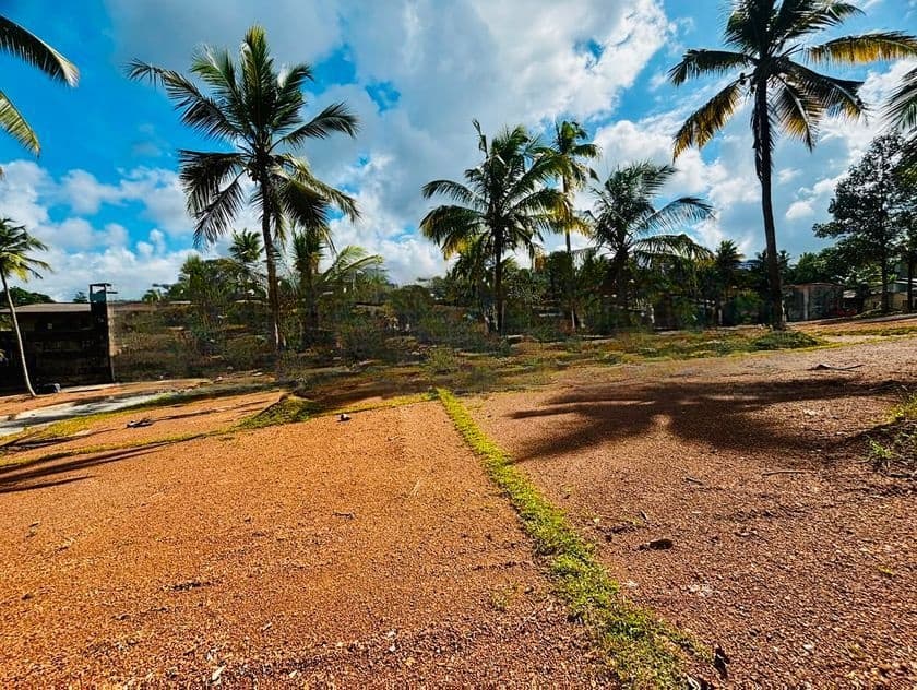 Malabe Land for Sale - Susilarama Road