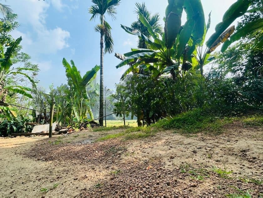 House for Sale - Kadawatha