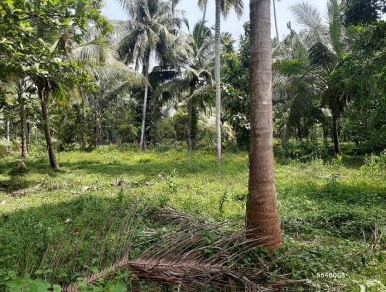 05 Acres Commercial Land For Sale In Negombo/ Miriswaththa Industrial area.