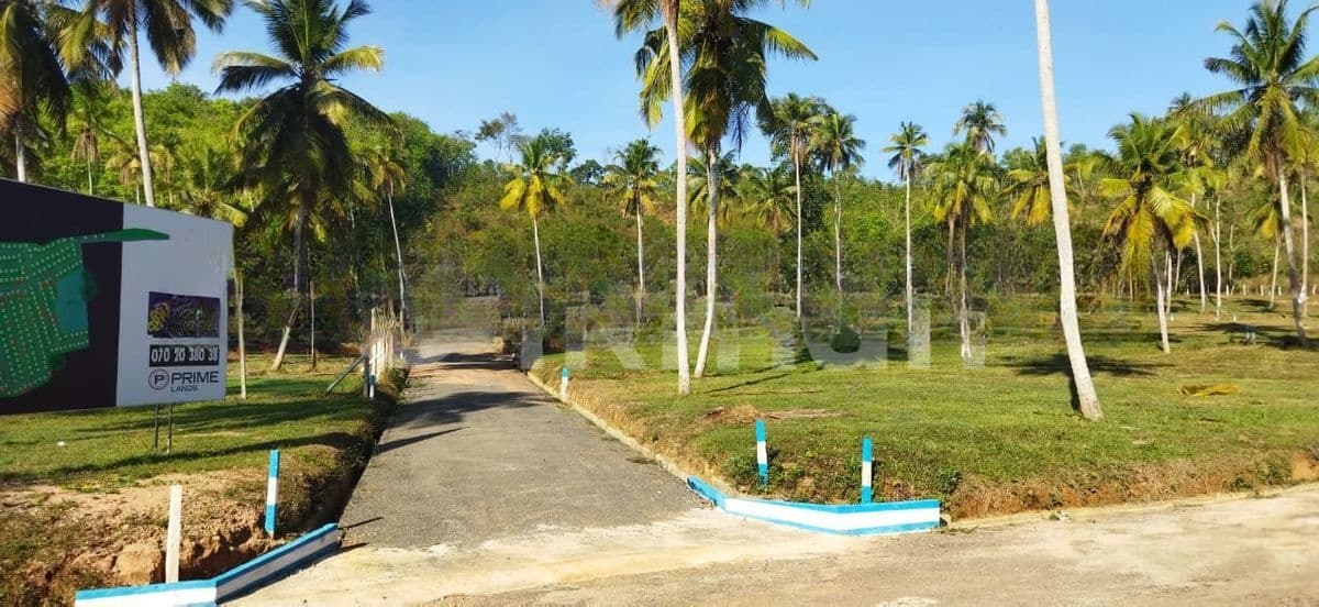 නාරම්මල නේවාසික බිම් කොටස්