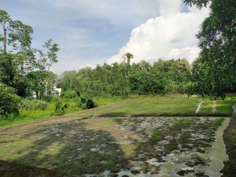 Bare Land for Sale in Thalawathugoda