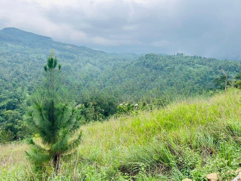 Lands For Sale In Nillamba