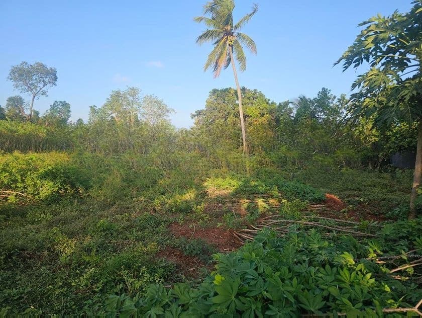 Land for Sale Urumpirai