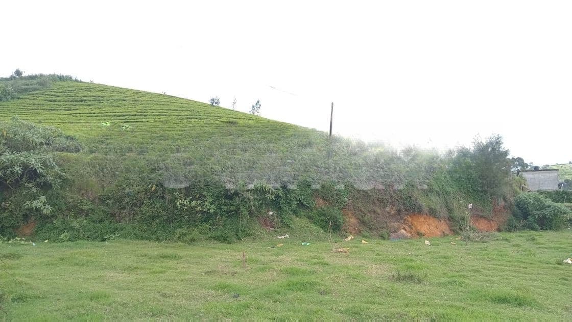 Land for sale Nuwara Eliya 7 km