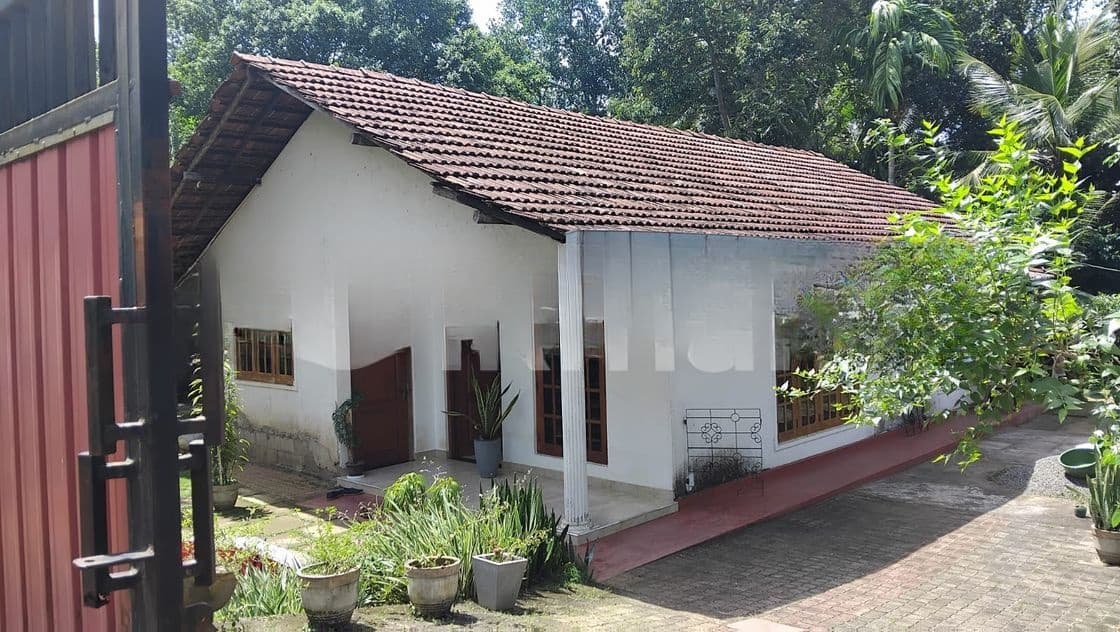 HAS187 - Single Story House for Sale in Weliweriya