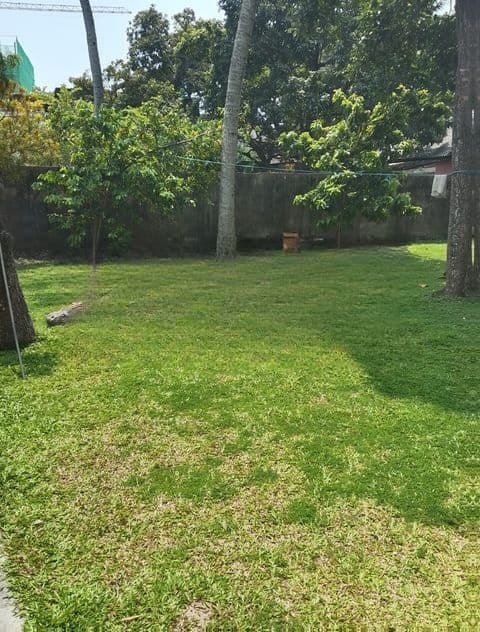 Land for Sale in Colombo 05