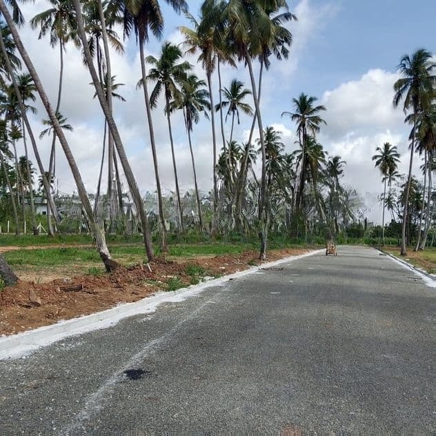 කුරුණෑගල පුත්තලම් පාරට අසන්නයෙන් ඉඩමක් විකිණීමට