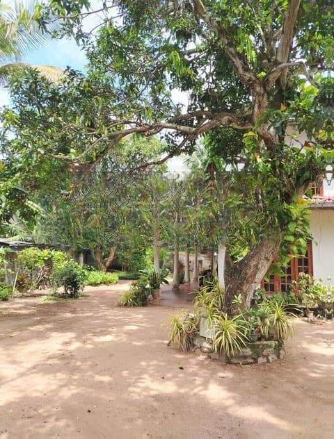Tourist Villa Holiday For Rent - Katunayake