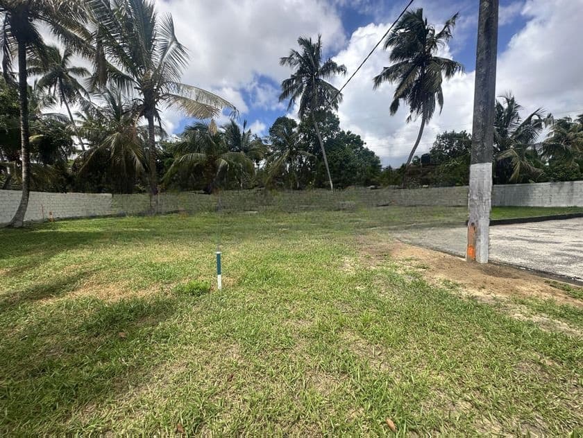 Land for Sale in Negombo - Dalupotha