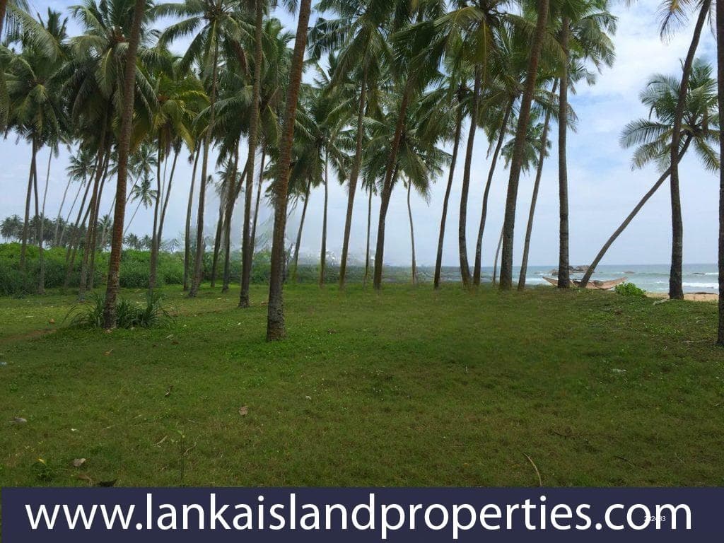 Beachfront Property Close To Galle - LIP 046