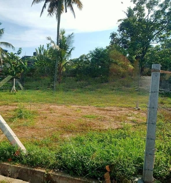 Kelaniya : 6.5 P Highly Residential Land for Sale in Waragoda