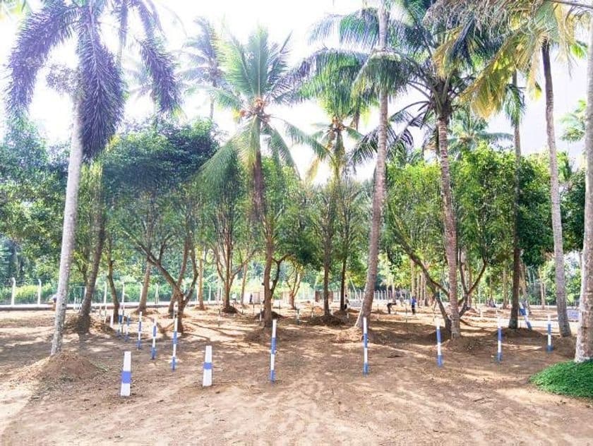 Valuable Land for Sale in Mellawagedara S