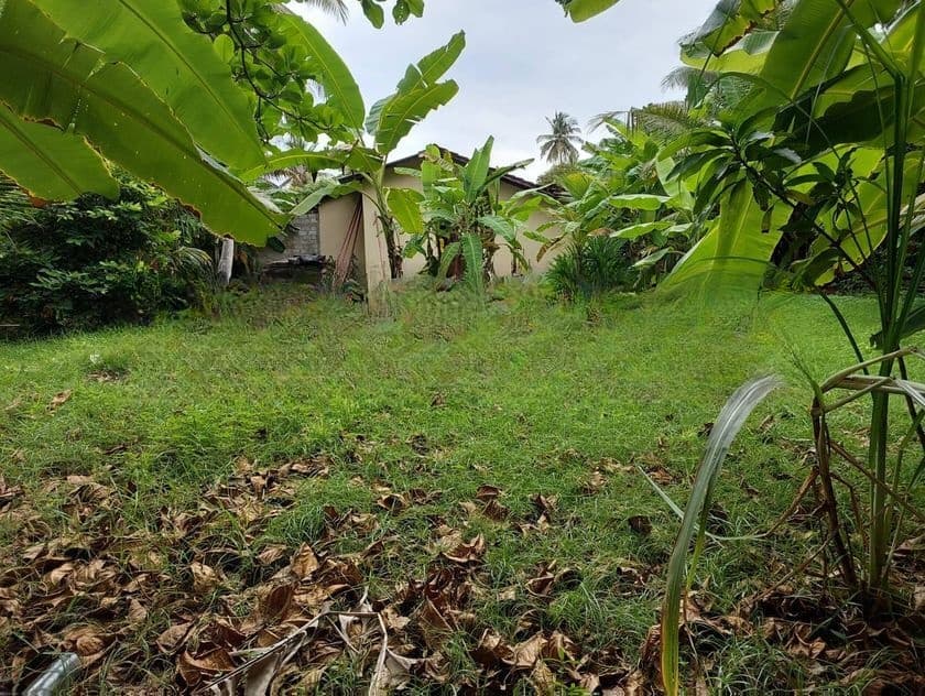 Land for Sale in Waththala