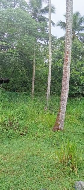 Land For Sale in Homagama