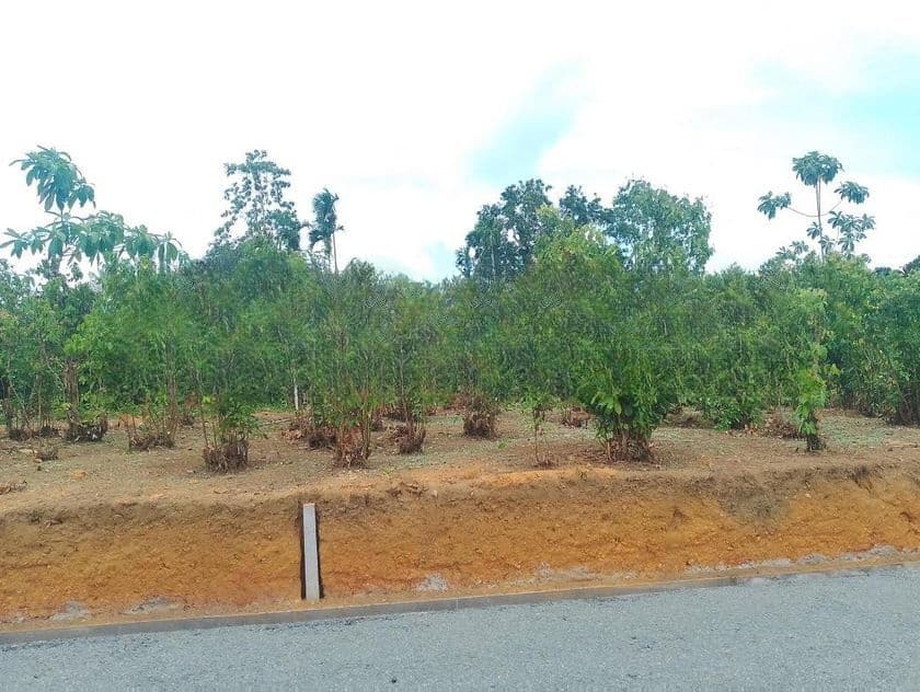 Land for Sale in Aluthwala
