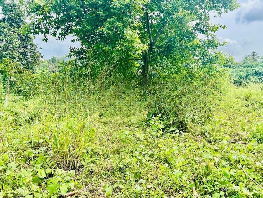 Valuable Land for Sale in Athurugiriya